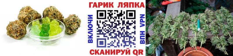 Canna-Cookies марихуана  Старица 