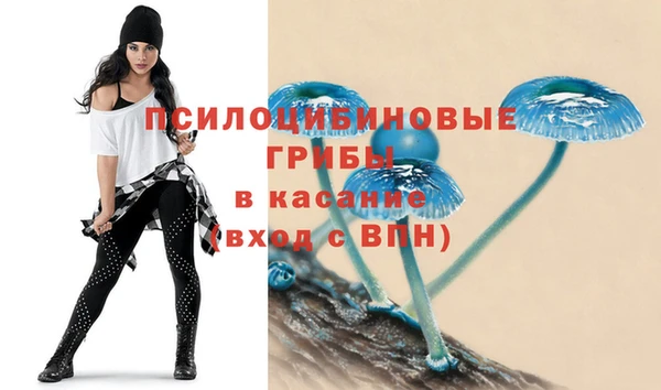 ешки Рославль