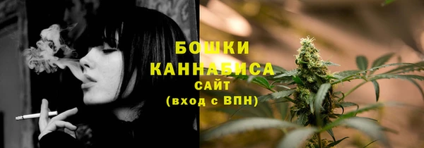 дурь Заводоуковск