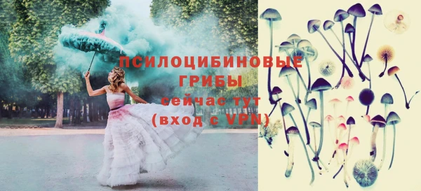 ешки Рославль