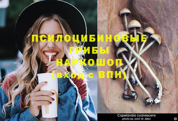 твердый Заволжск