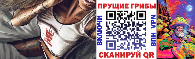 Галлюциногенные грибы ЛСД  наркотики  Старица 