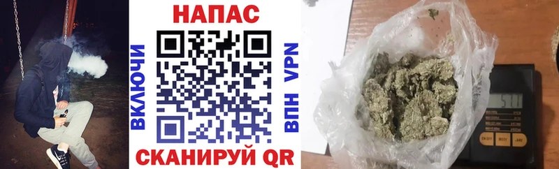 Каннабис Bruce Banner  где найти   Старица 